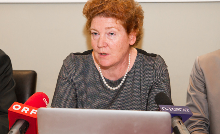 Pressekonferenz zum Welt-Schlaganfall-Tag